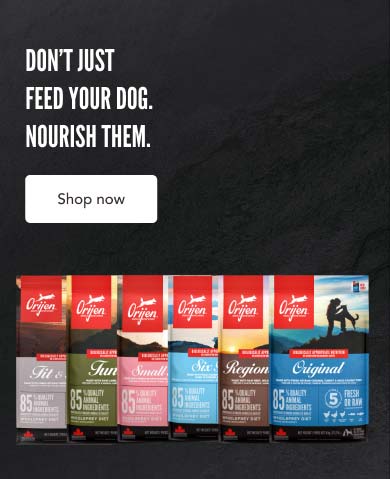 Don't Just Feed Your dog. Nourish Them - Shop Now
